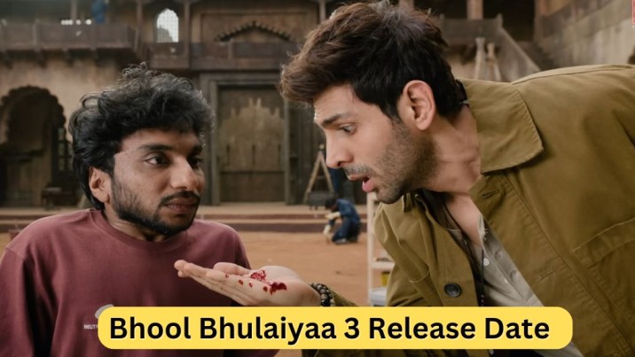 Bhool Bhulaiyaa 3 Release Date